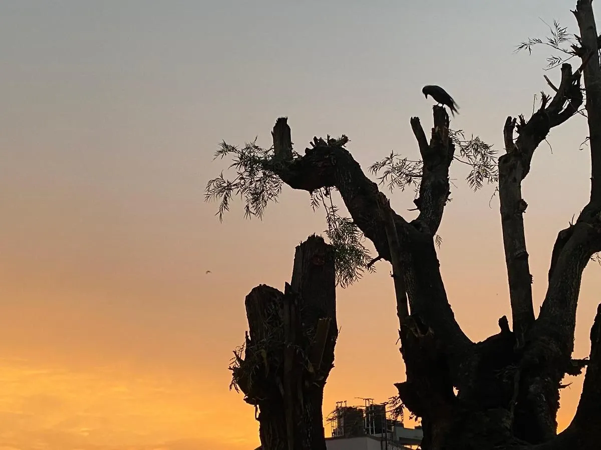 Birds Nest Hostel Kathmandu