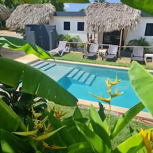 Colibri , Las Galeras República Dominicana
