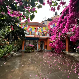 Guest house Sun Rise, Kathmandu